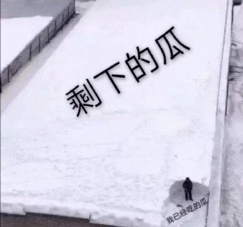 娱乐有态度吃瓜有深度的句子,深度解析吃瓜群众的趣味世界